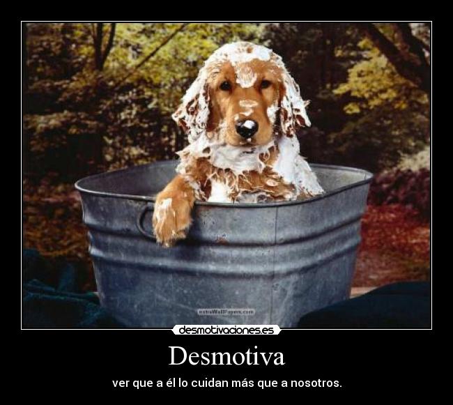 Desmotiva - ver que a él lo cuidan más que a nosotros.