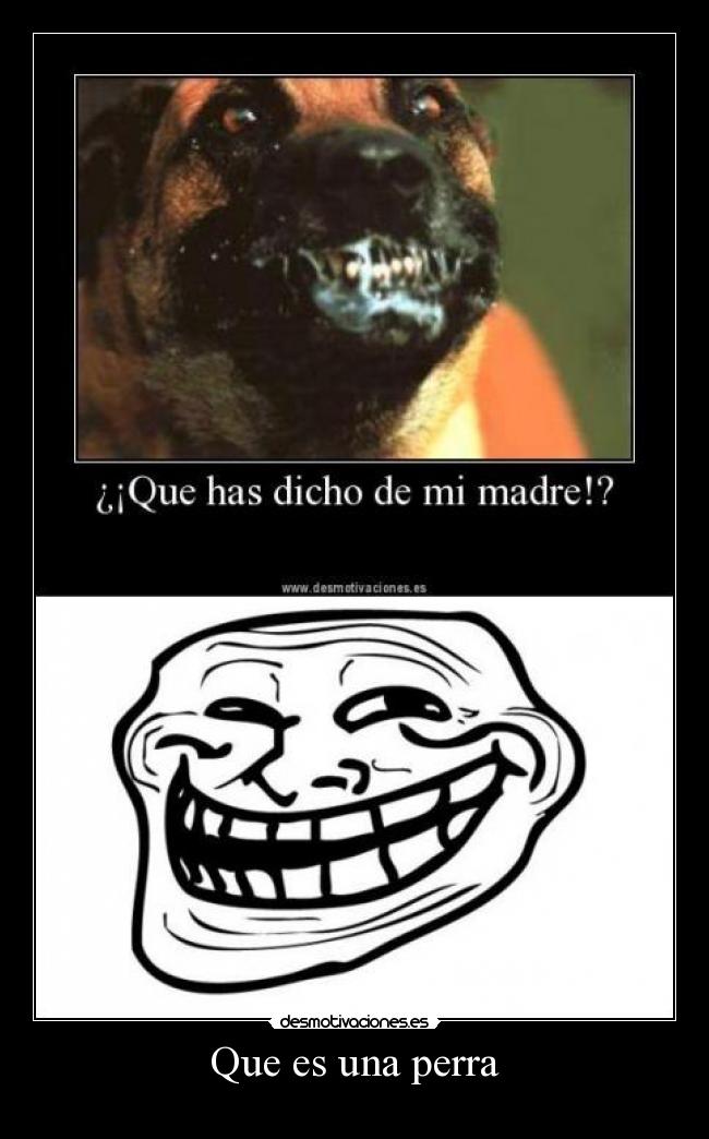 Que es una perra - 