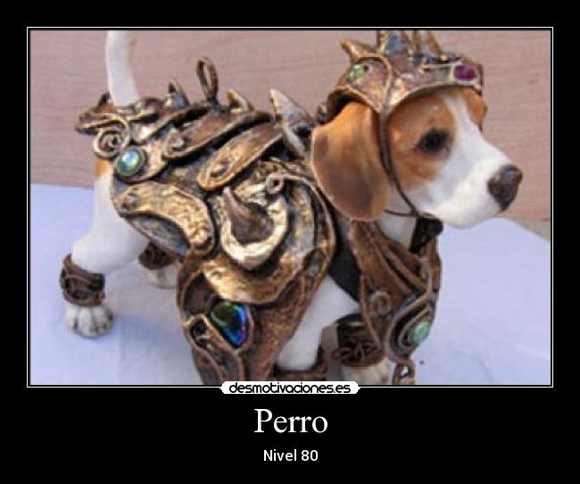 Perro - Nivel 80