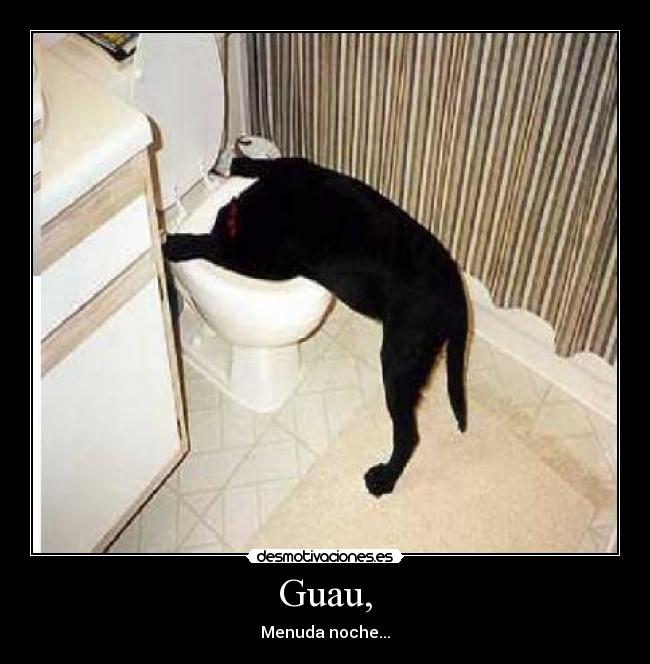 Guau, -