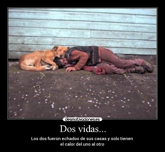 Dos vidas... -