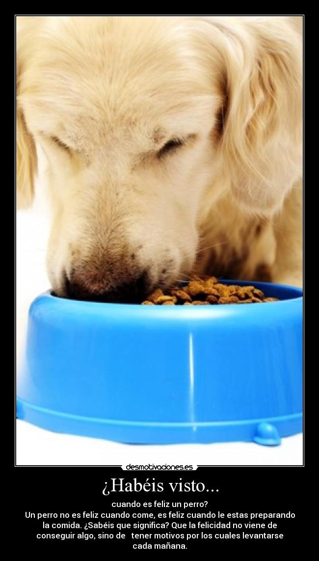 ¿Habéis visto... - 