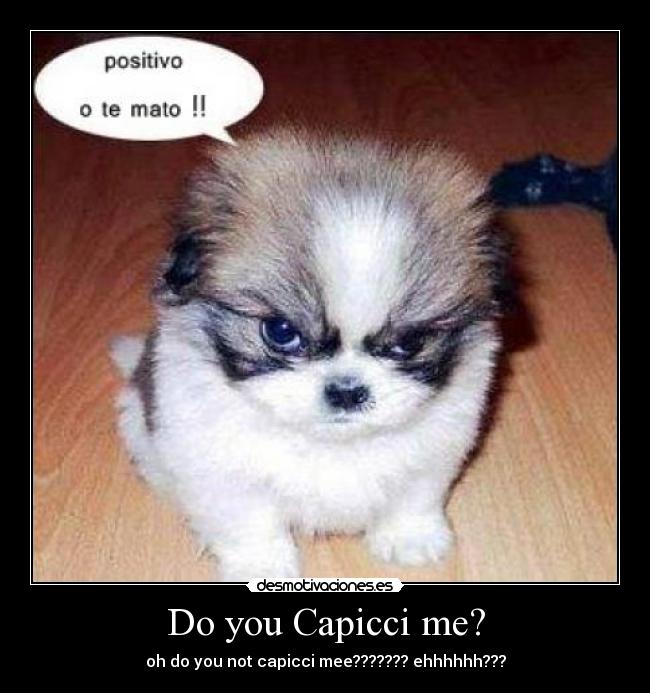 Do you Capicci me? - oh do you not capicci mee??????? ehhhhhh???