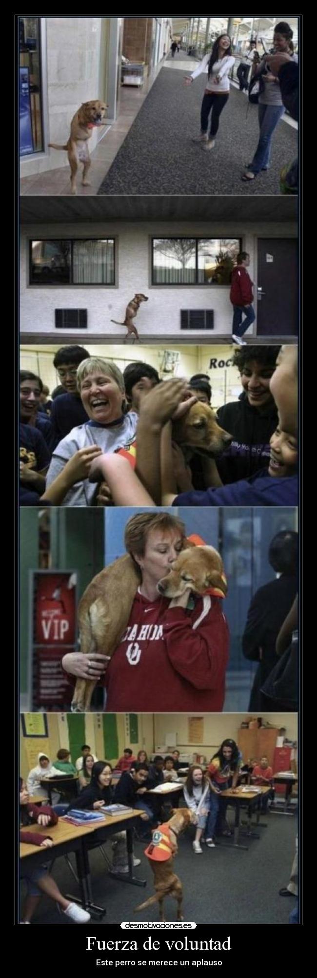 Fuerza de voluntad -