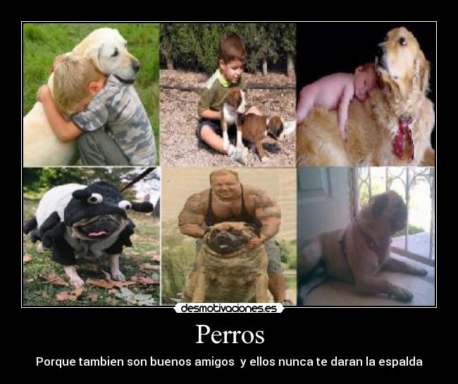 Perros - Porque tambien son buenos amigos y ellos nunca te daran la espalda