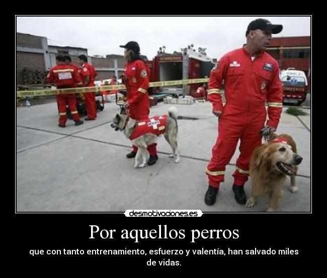 Por aquellos perros -