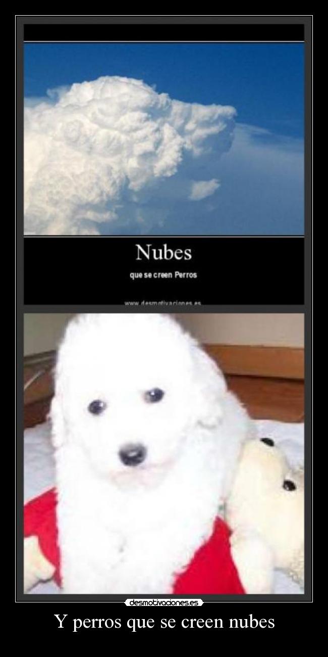 Y perros que se creen nubes -