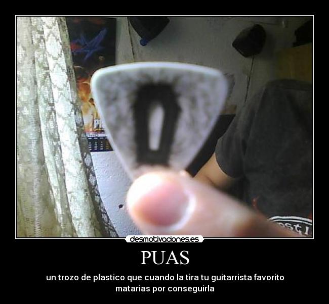 PUAS - 