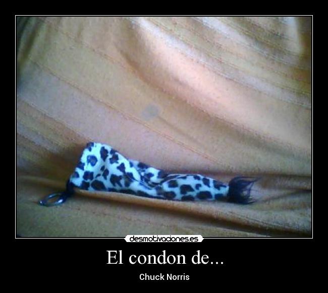 El condon de... - Chuck Norris
