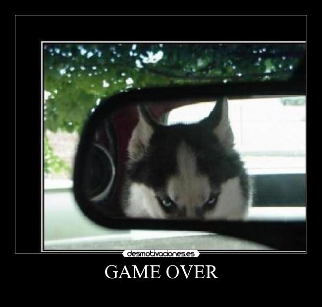 GAME OVER - 