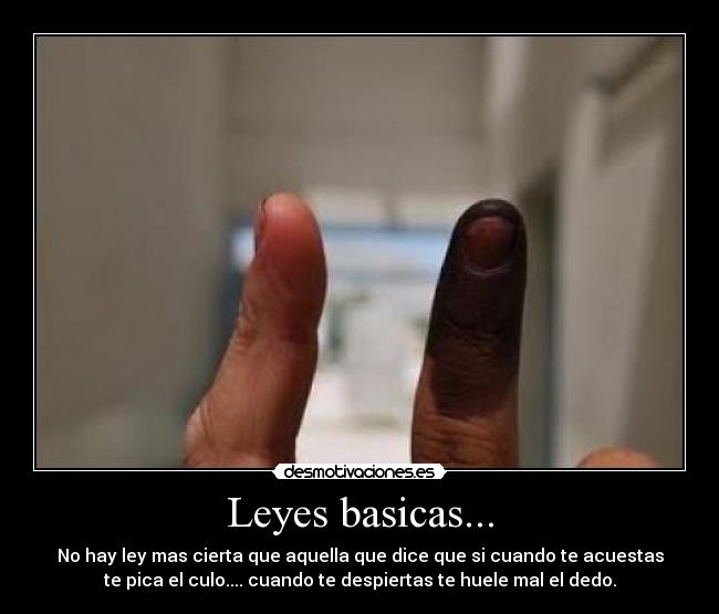 Leyes basicas... - 