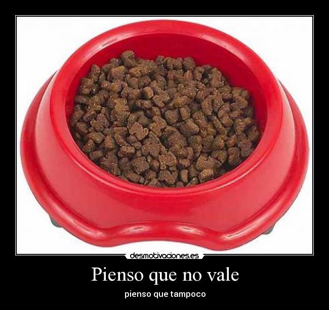 Pienso que no vale - 