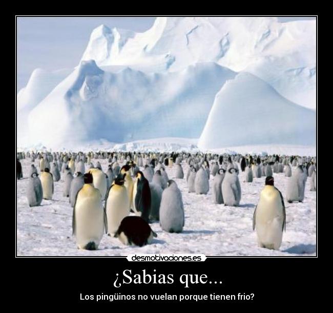 ¿Sabias que... -