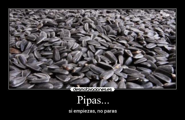 Pipas... - 