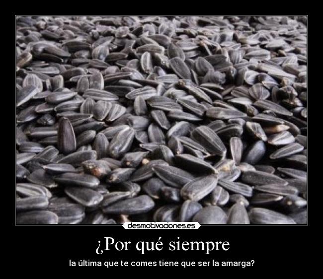 ¿Por qué siempre - 