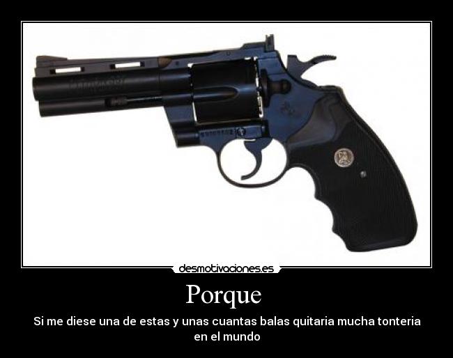 carteles pistola balas tonteria desmotivaciones