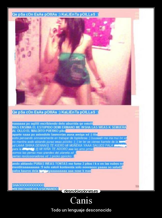 carteles canis lenguaje calientapollas desmotivaciones