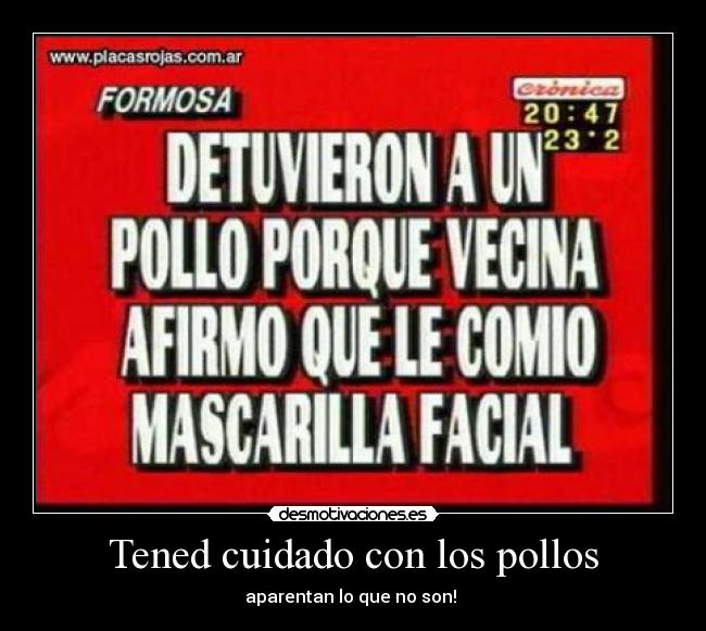 Tened cuidado con los pollos - 