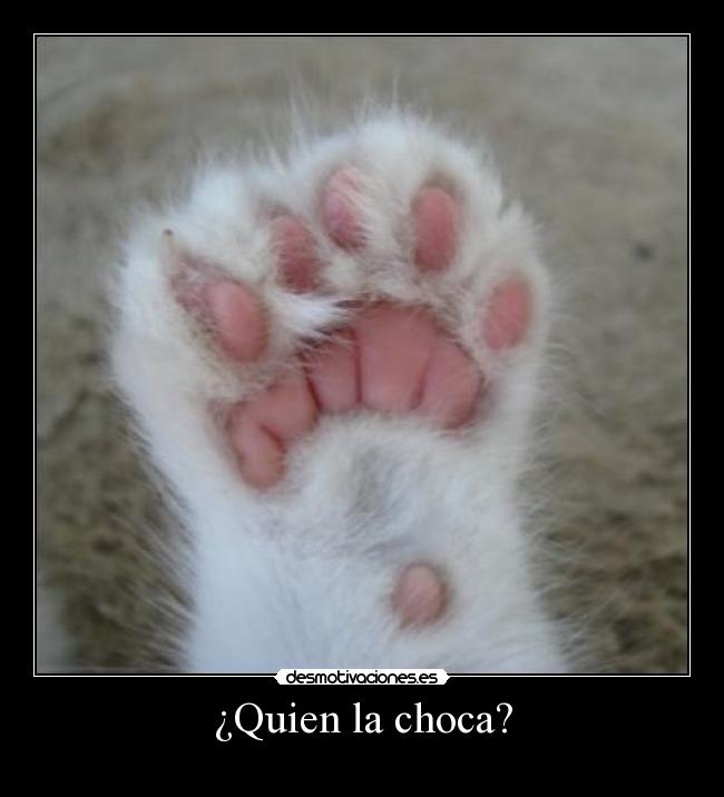 ¿Quien la choca? -