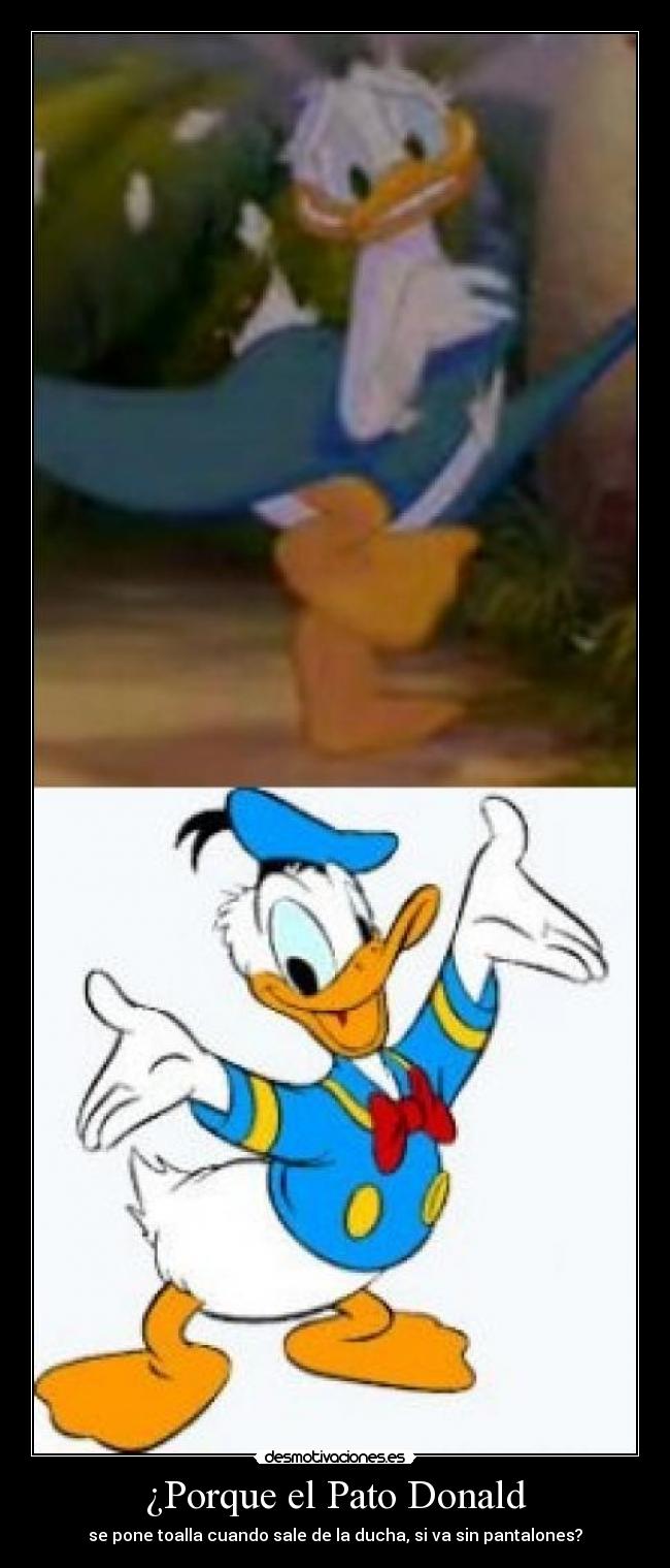 carteles toalla pato donald desmotivaciones