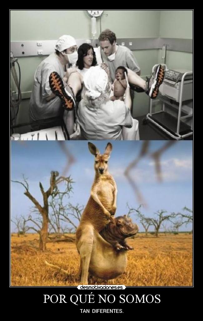 carteles somos tan diferentes desmotivaciones