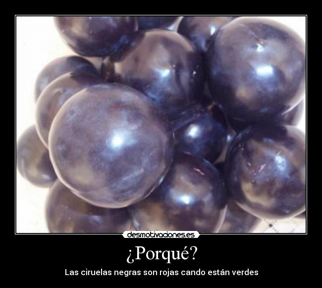 ¿Porqué? - Las ciruelas negras son rojas cando están verdes