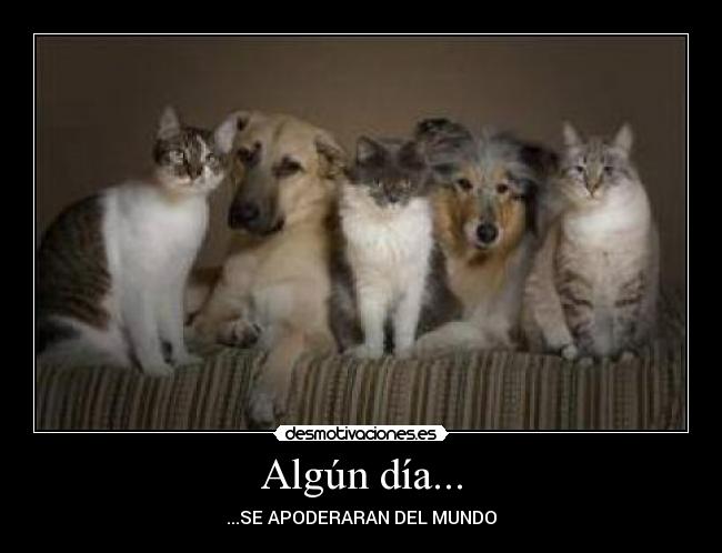 Algún día... - ...SE APODERARAN DEL MUNDO