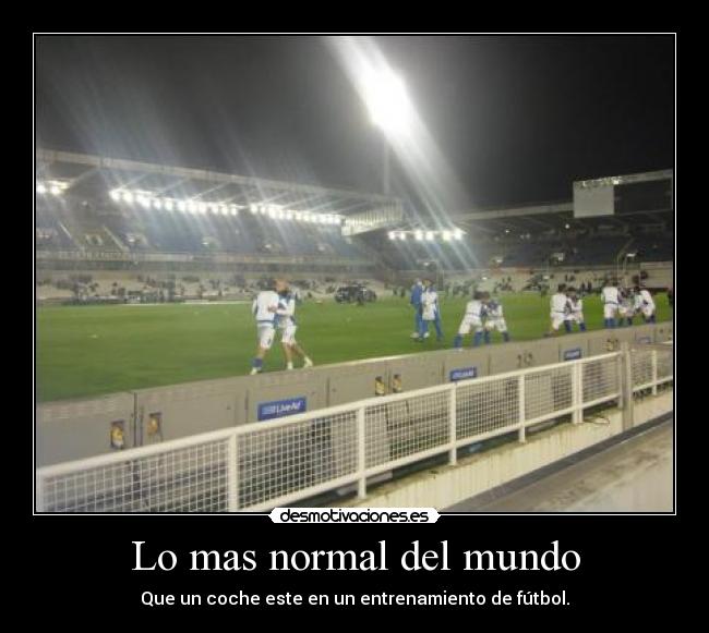 Lo mas normal del mundo -