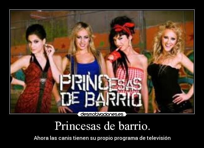 carteles princesas barrio cani television sexta programa propio desmotivaciones