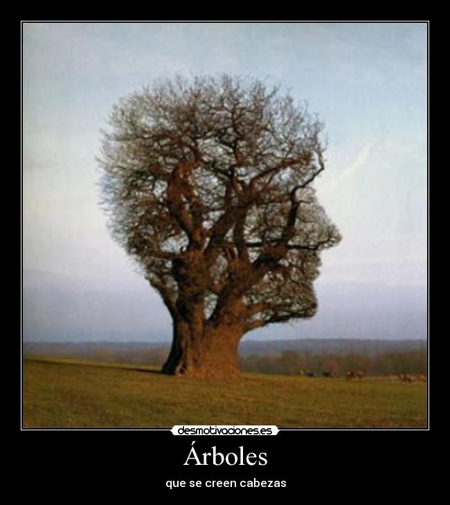Árboles -