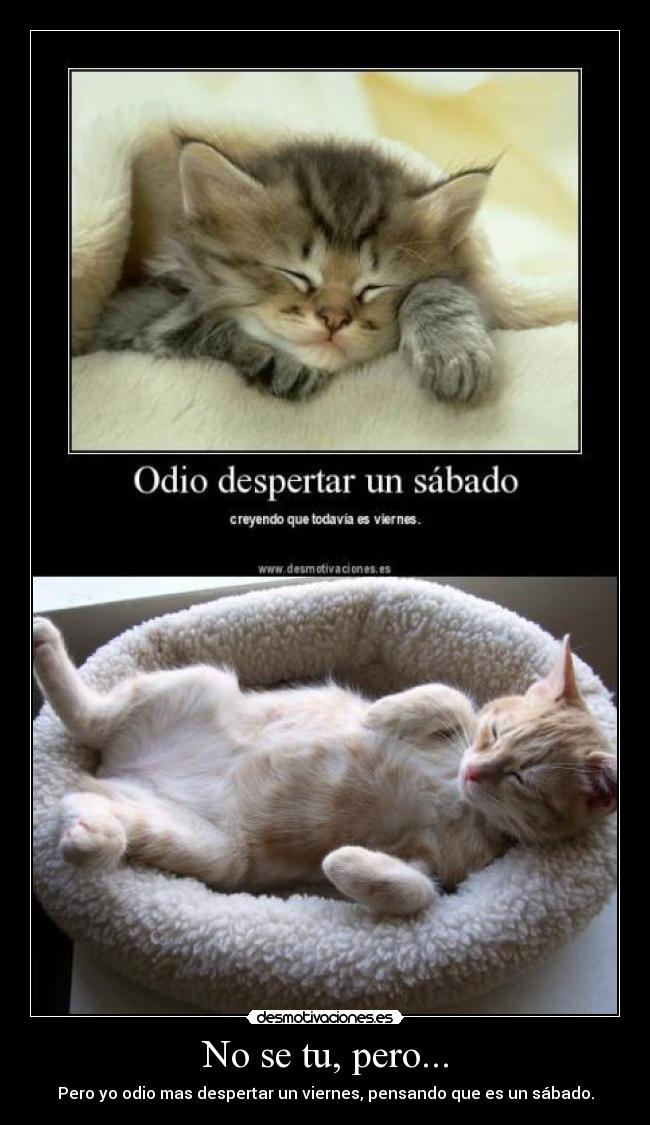 No se tu, pero... - Pero yo odio mas despertar un viernes, pensando que es un sábado.