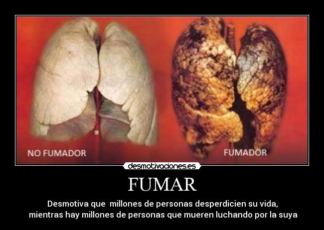 FUMAR -