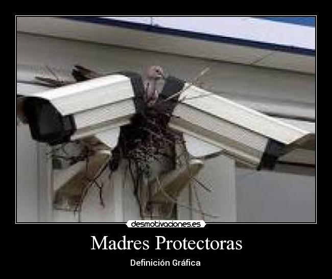 Madres Protectoras - Definición Gráfica 