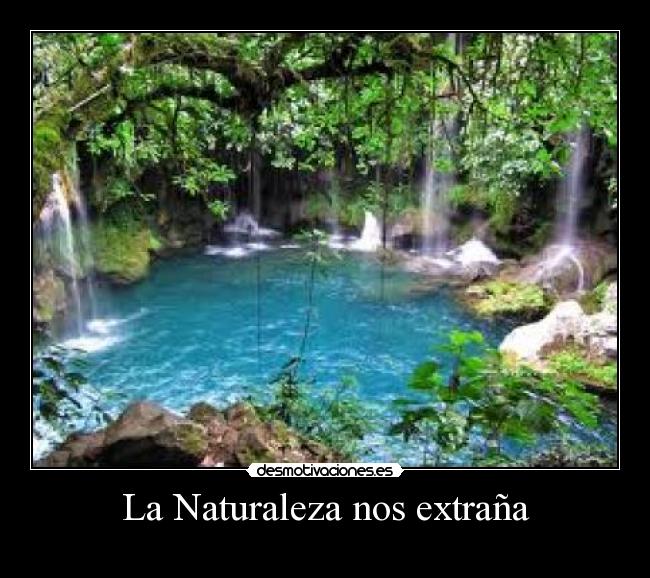La Naturaleza nos extraña -