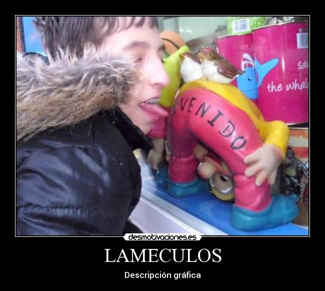 LAMECULOS - Descripción gráfica