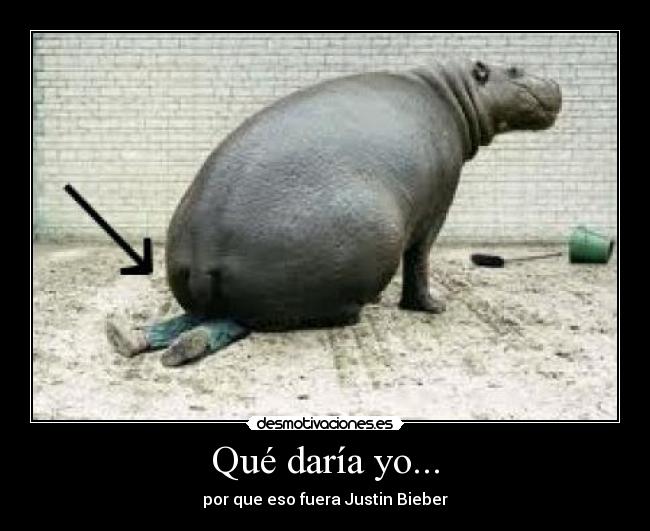Qué daría yo... - por que eso fuera Justin Bieber