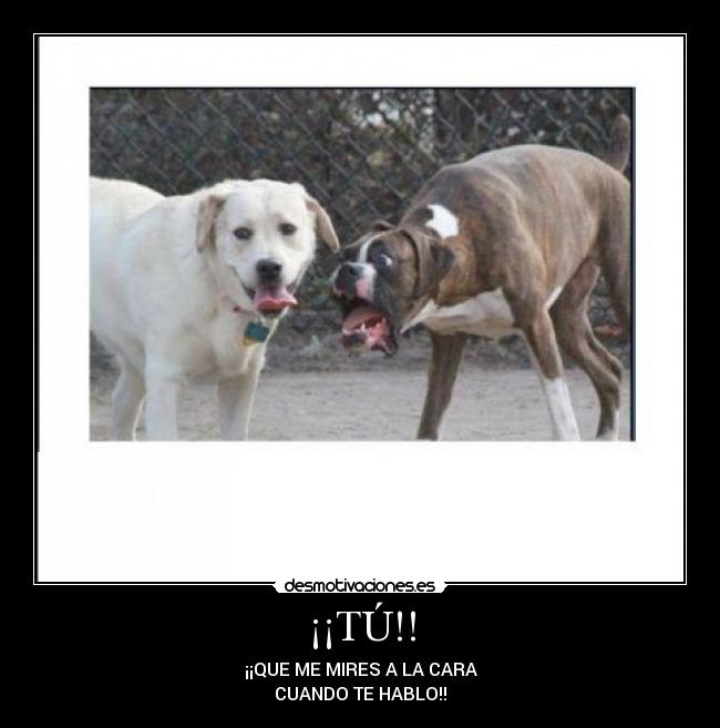 ¡¡TÚ!! - ¡¡QUE ME MIRES A LA CARA
CUANDO TE HABLO!!