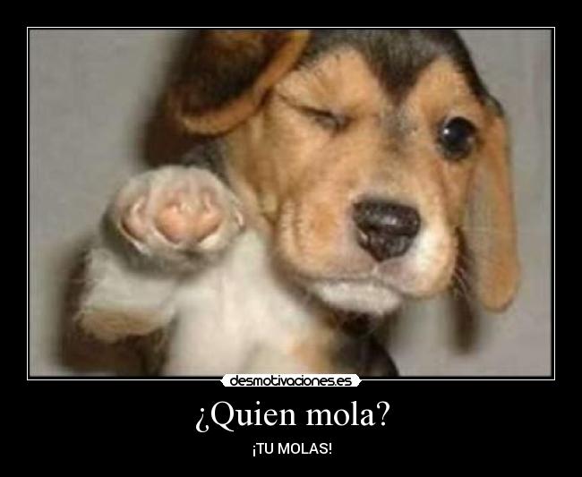 ¿Quien mola? -