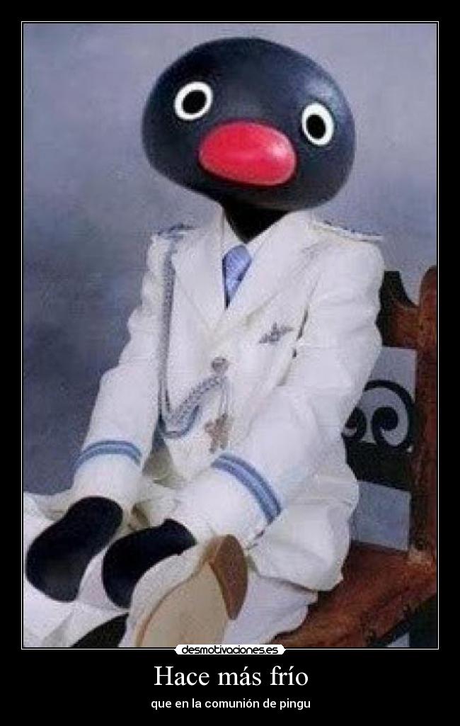Hace más frío - que en la comunión de pingu