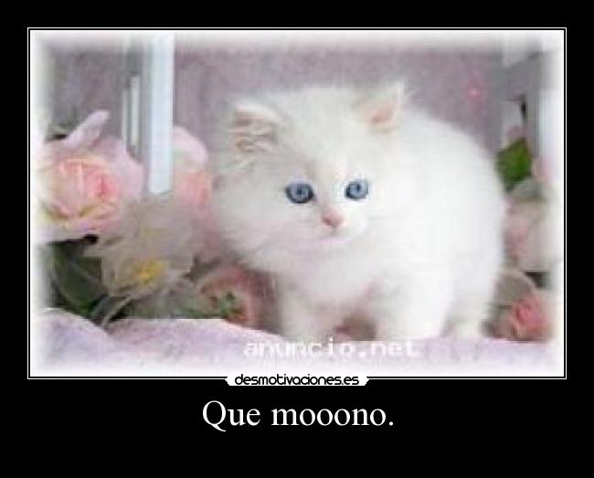 Que mooono. -