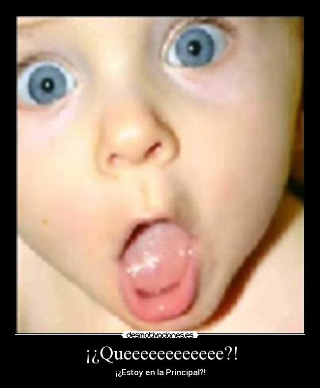 ¡¿Queeeeeeeeeeee?! -