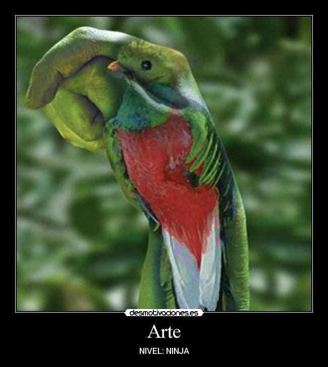 Arte - NIVEL: NINJA