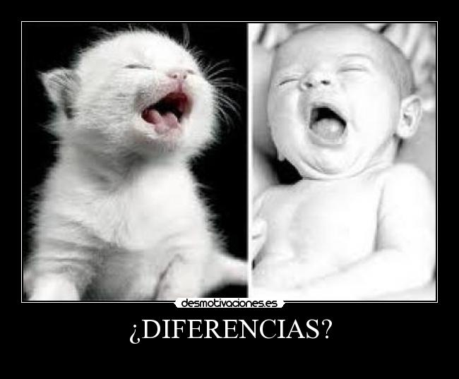 ¿DIFERENCIAS? -      