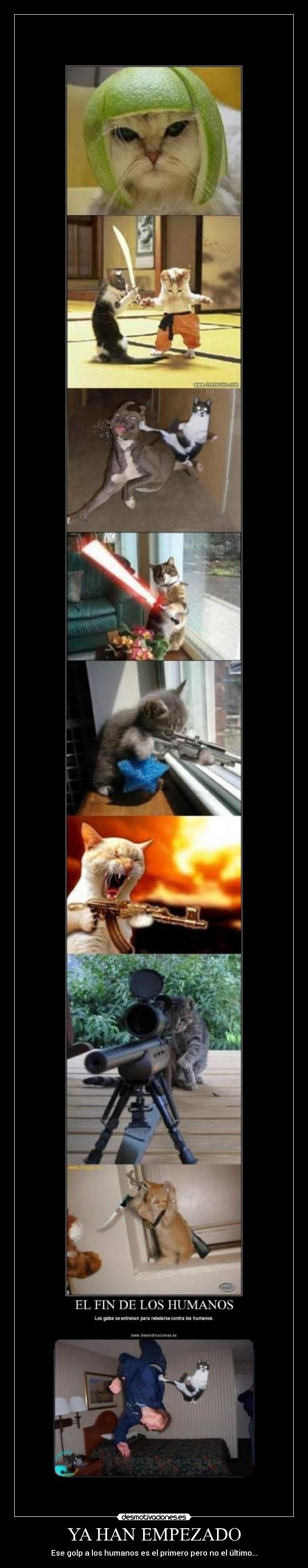 YA HAN EMPEZADO - Ese golp a los humanos es el primero pero no el último...