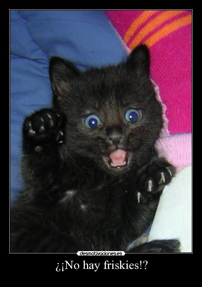 ¿¡No hay friskies!? - 