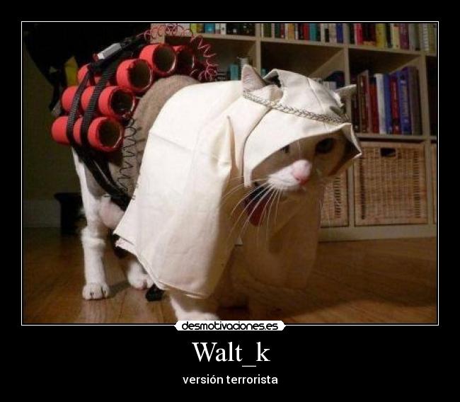 Walt_k -