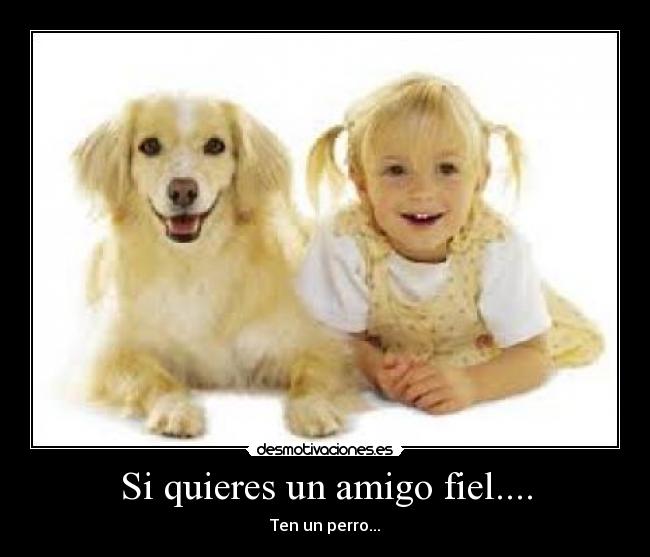 Si quieres un amigo fiel.... -