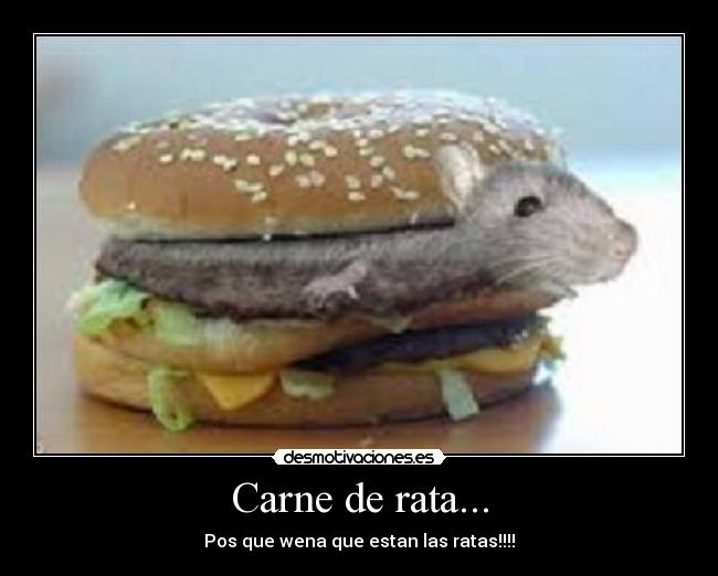 Carne de rata... - Pos que wena que estan las ratas!!!!