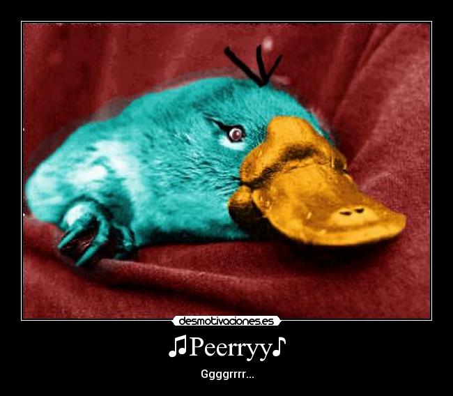 carteles perry ggr desmotivaciones