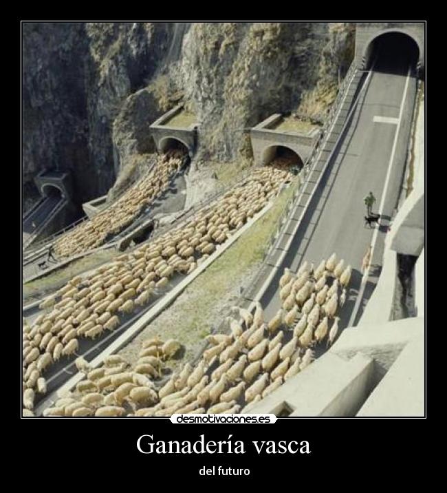 Ganadería vasca - del futuro